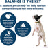 Canine Caviar Free Spirit All Life Stages Chicken & Pearl Millet Dry Dog Food - 11 lb Bag  