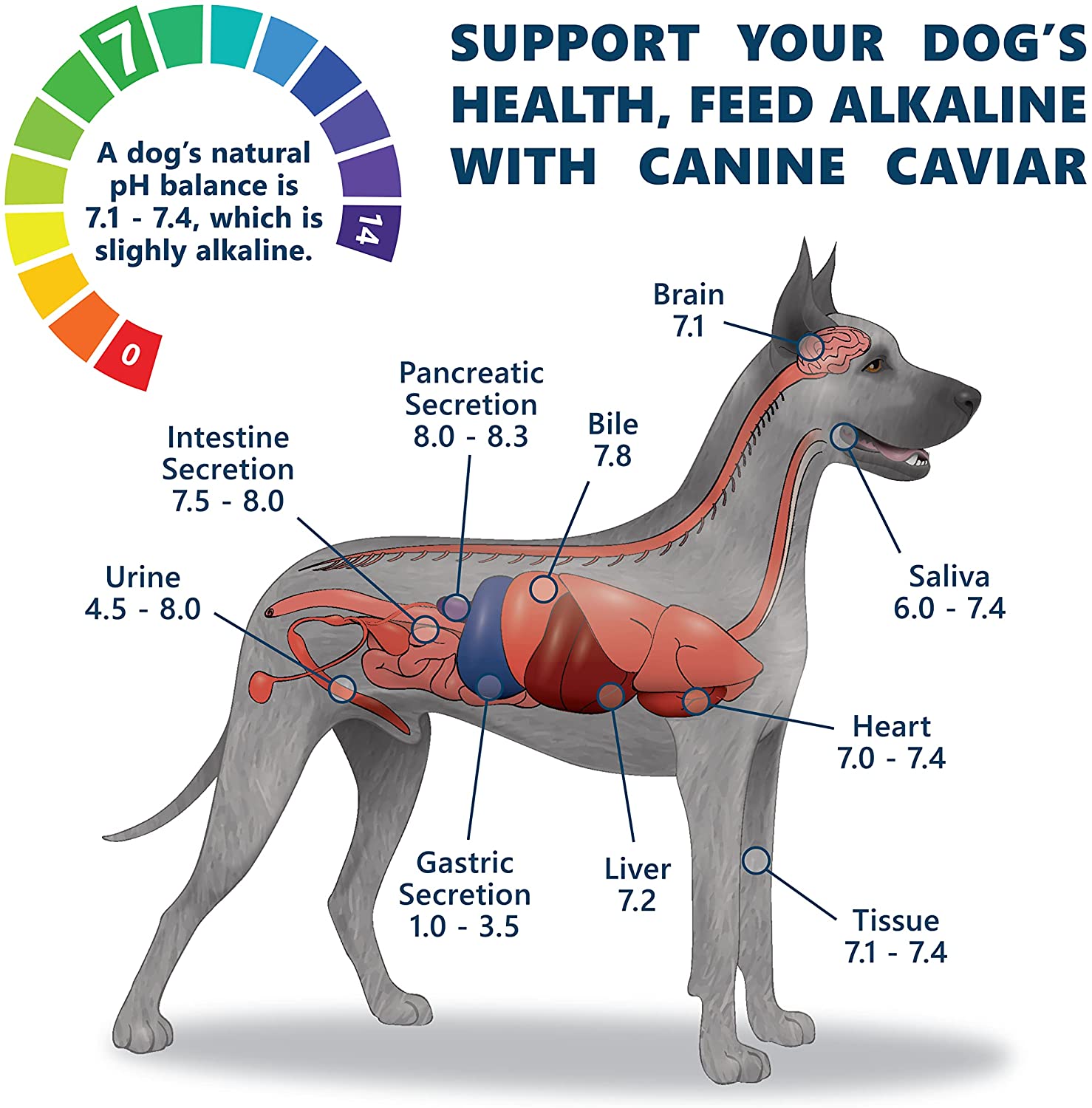 Canine Caviar Free Spirit All Life Stages Chicken & Pearl Millet Dry Dog Food - 11 lb Bag  