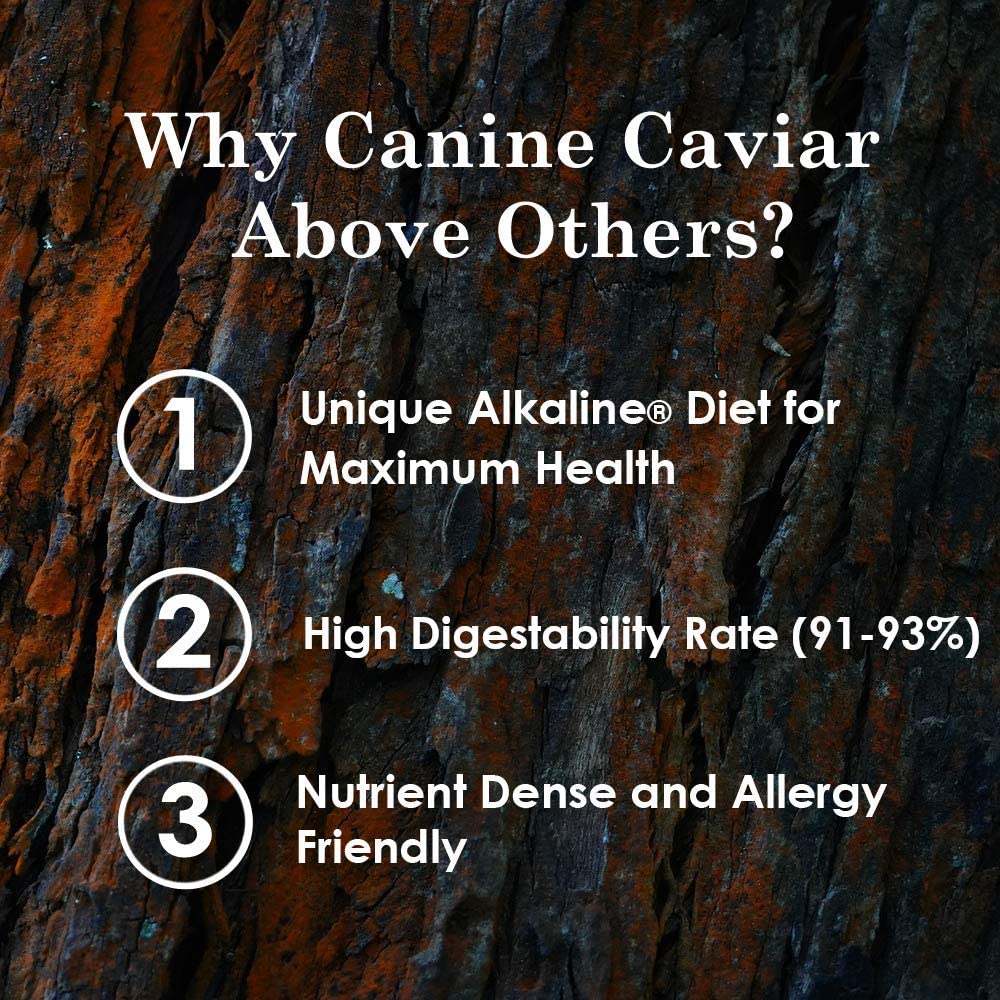 Canine Caviar Free Spirit All Life Stages Chicken & Pearl Millet Dry Dog Food - 11 lb Bag  