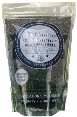 Canine Caviar Kelp Dog Food Supplement - 1.5 lb Bag  