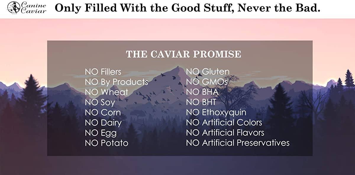 Canine Caviar Open Meadow All Life Stages Lamb & Pearl Millet Dry Dog Food - 11 lb Bag  