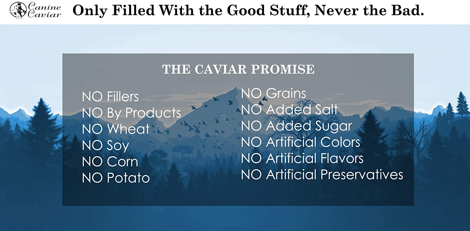 Canine Caviar Synthetic Free and Grain Free Goat Canned Dog Food - 12.7 oz - Case of 12  