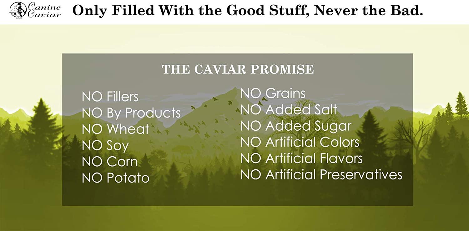 Canine Caviar Synthetic Free and Grain Free Lamb Canned Dog Food - 12.7 oz - Case of 12  