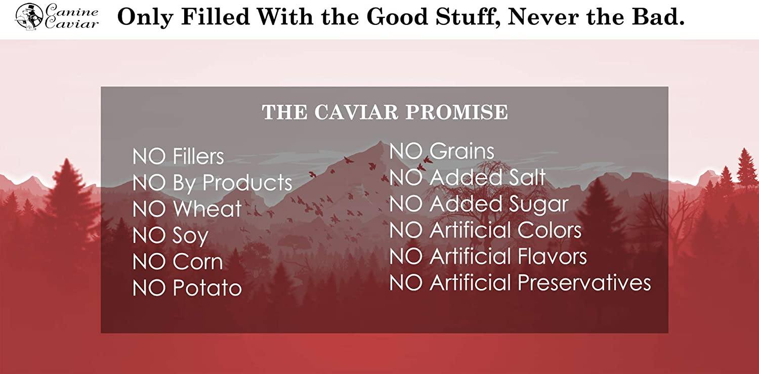 Canine Caviar Synthetic Free and Grain Free Salmon Canned Dog Food - 12.7 oz - Case of 12  
