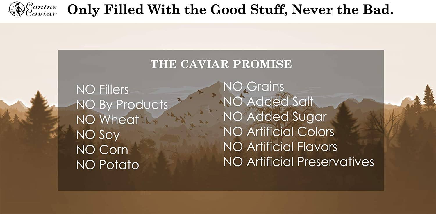 Canine Caviar Synthetic Free and Grain Free Turkey Canned Dog Food - 12.7 oz - Case of 12  