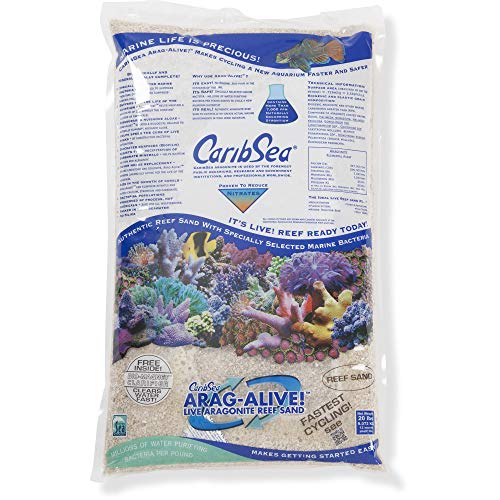 CaribSea Arag-Alive! Special Grade Reef Sand - 20 lb - Pack of 2  