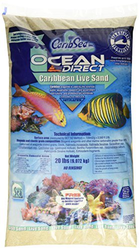 CaribSea Ocean Direct Caribbean Live Sand - 20 lb - Pack of 2