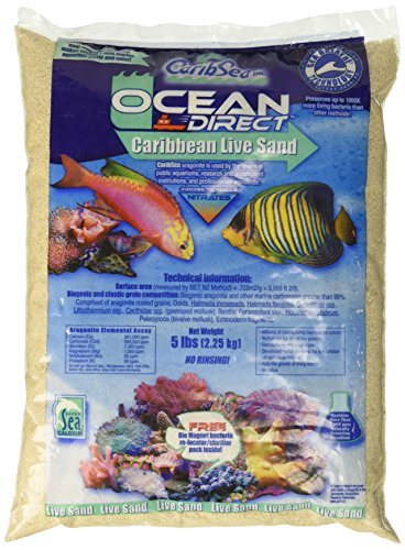 CaribSea Ocean Direct Caribbean Live Sand - 5 lb - Pack of 8