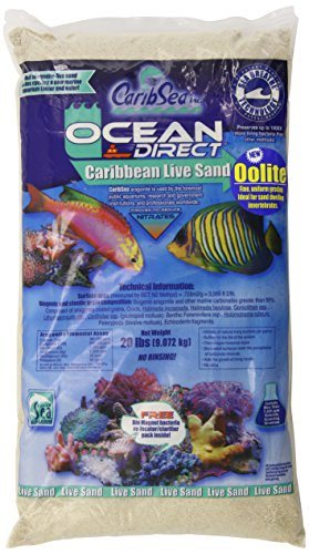 CaribSea Ocean Direct Live Oolite - 20 lb - Pack of 2  