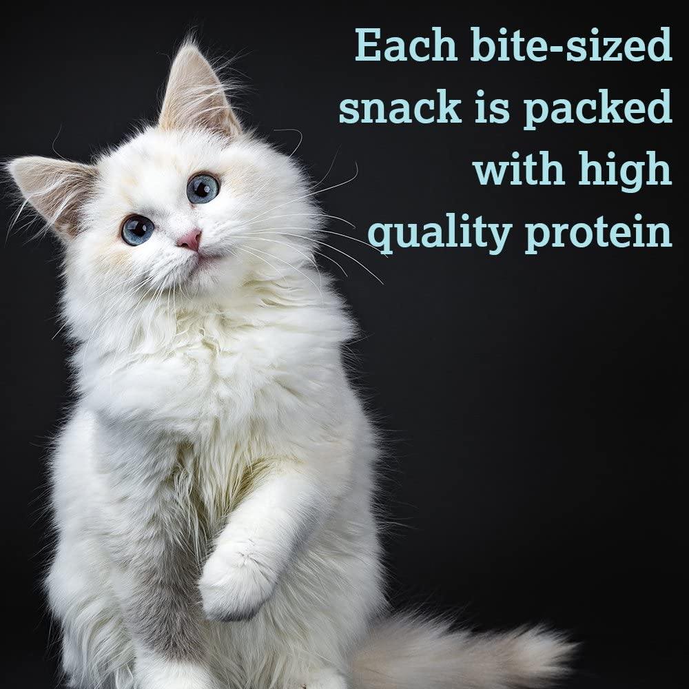 Caru Natural Chicken Recipe Bites Soft and Chewy Cat Treats - 3 oz  