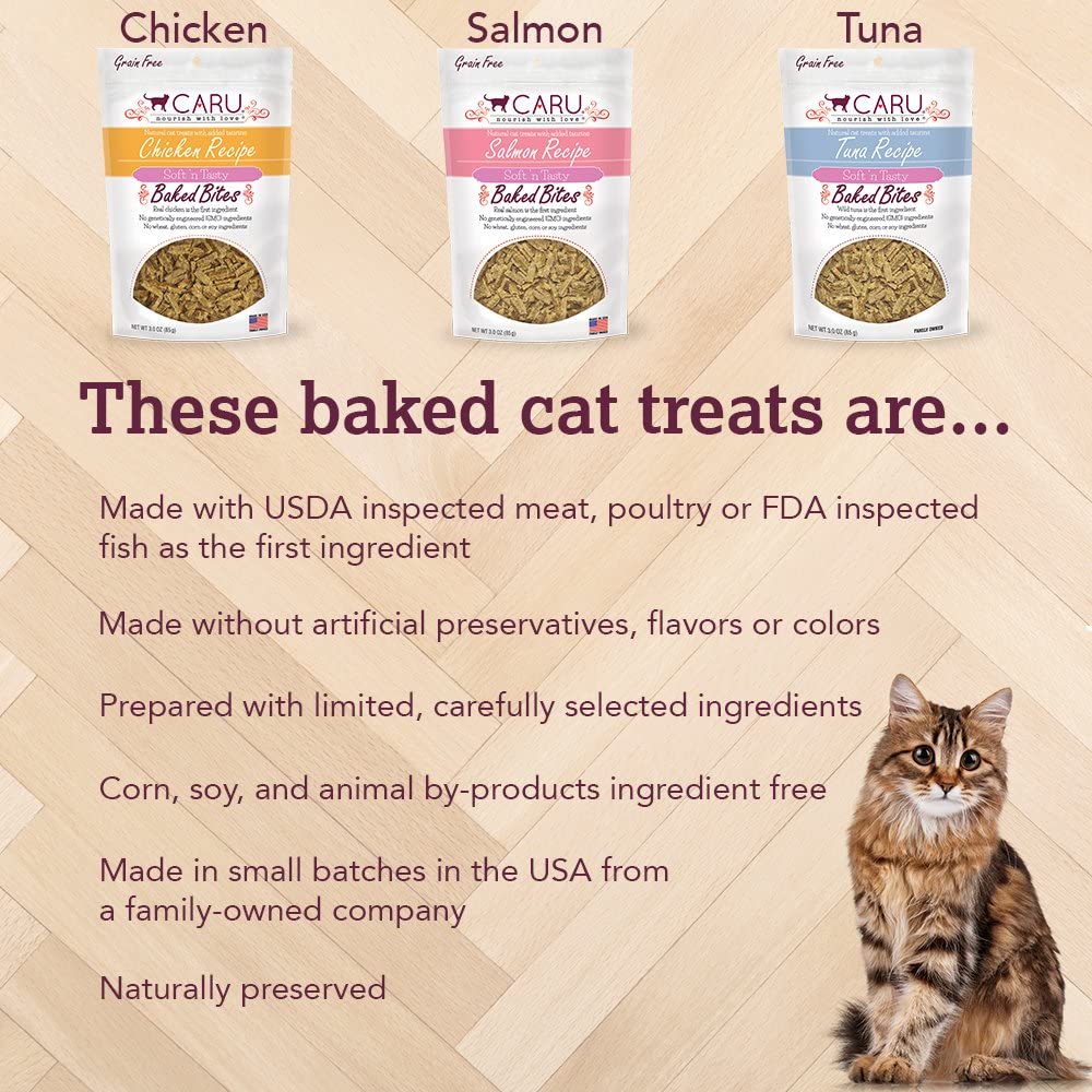 Caru Natural Salmon Recipe Bites Soft and Chewy Cat Treats - 3 oz  