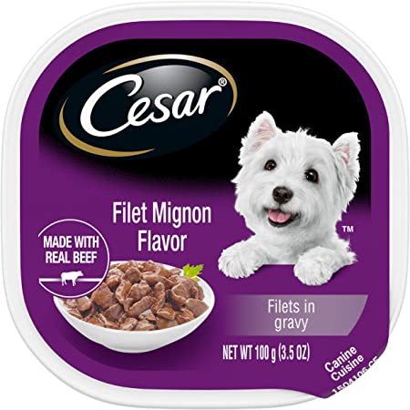 Cesar Canine Cuisine Gourmet Filets Filet Mignon Flavor Wet Dog Food - 3.5 oz - Case of 24  