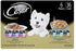 Cesar Canine Cuisine Mixed Multi-Pack Wet Dog Food - 3.5 oz - Case of 36  