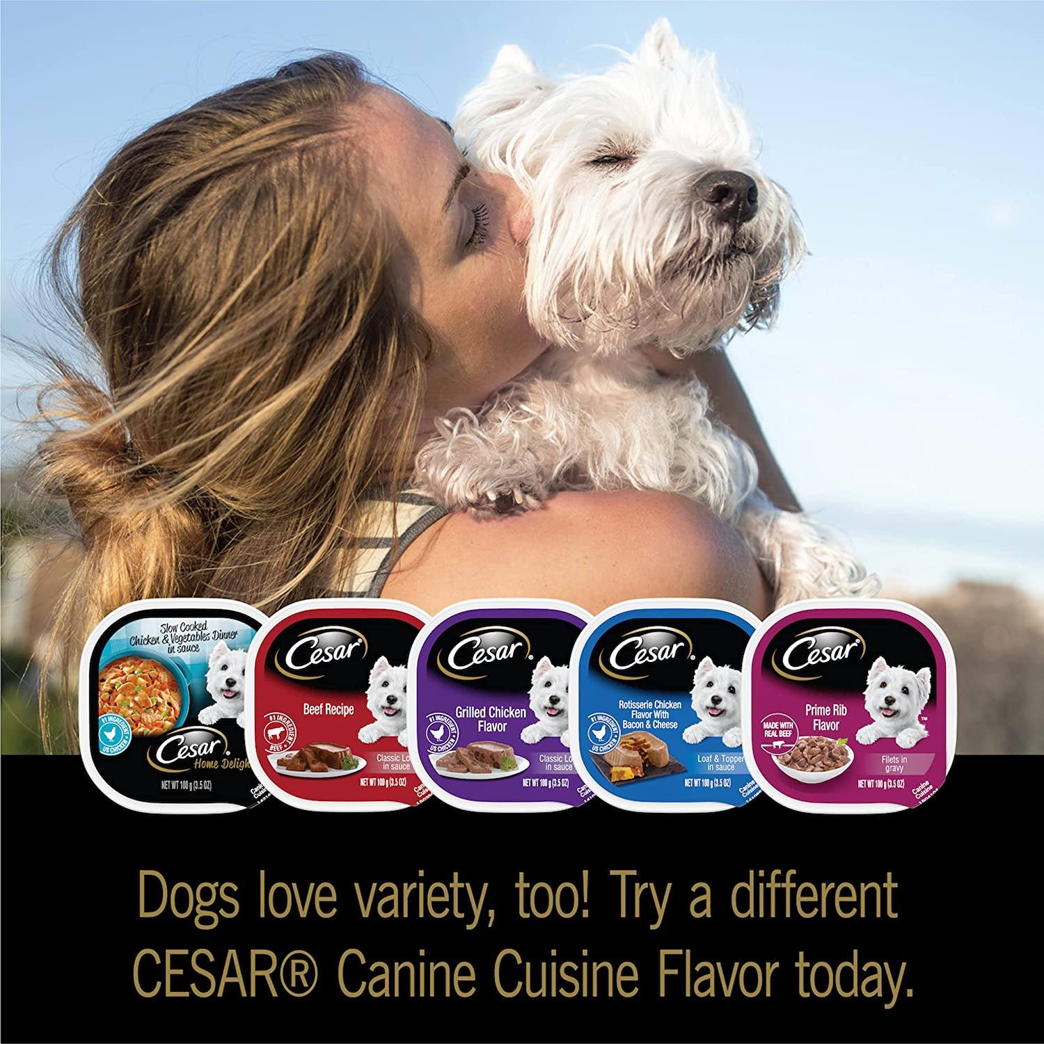 Cesar Canine Cuisine Savory Filet Mignon with Bacon and Potato Wet Dog Food - 3.5 oz - Case of 24  