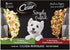 Cesar Simply Crafted Multipack Wet Dog Food - 1.3 oz - Case of 32  