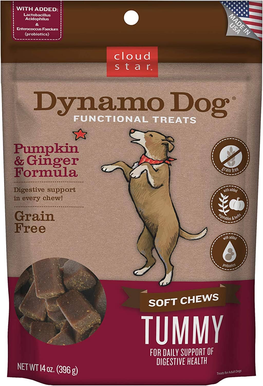 Cloud Star Tummy Dynamo Dog Pumpkin & Ginger Soft and Chewy Dog Treats - 14 Oz  