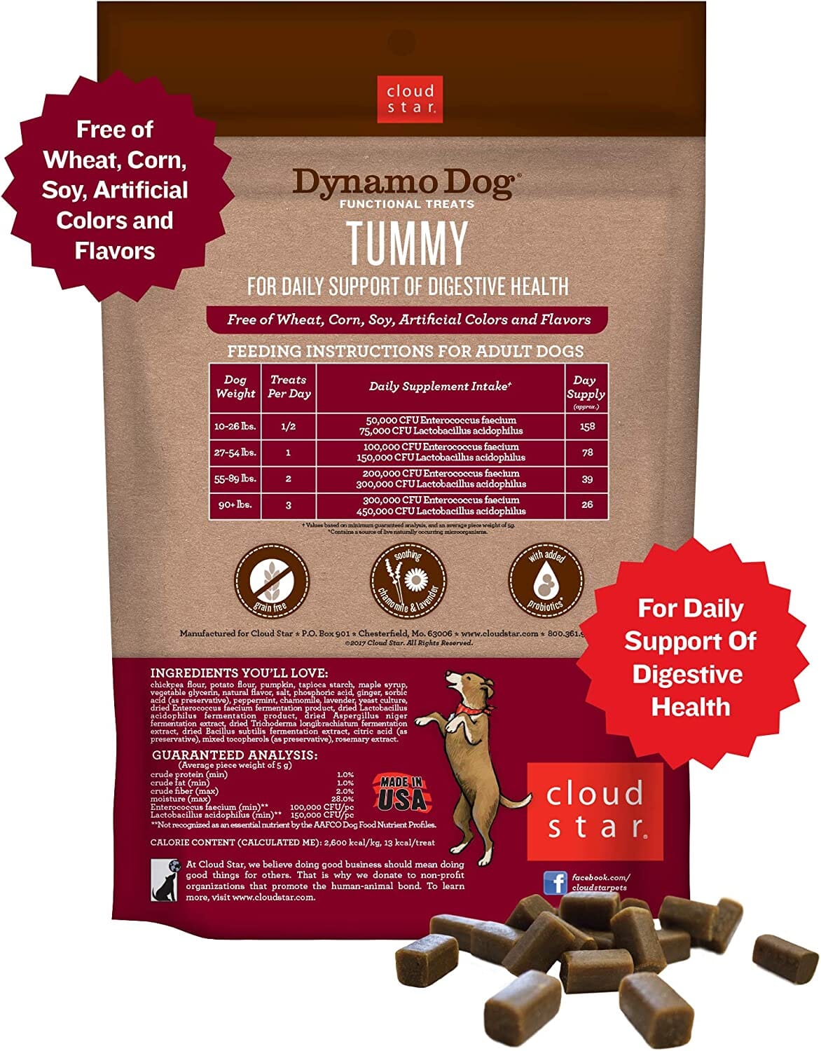 Cloud Star Tummy Dynamo Dog Pumpkin & Ginger Soft and Chewy Dog Treats - 14 Oz  