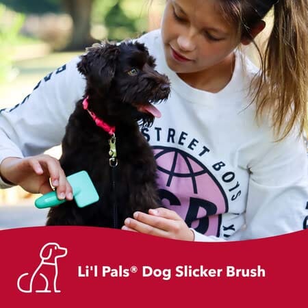 Coastal Li'L Pals Slicker Pet Brush with Coated Tips  