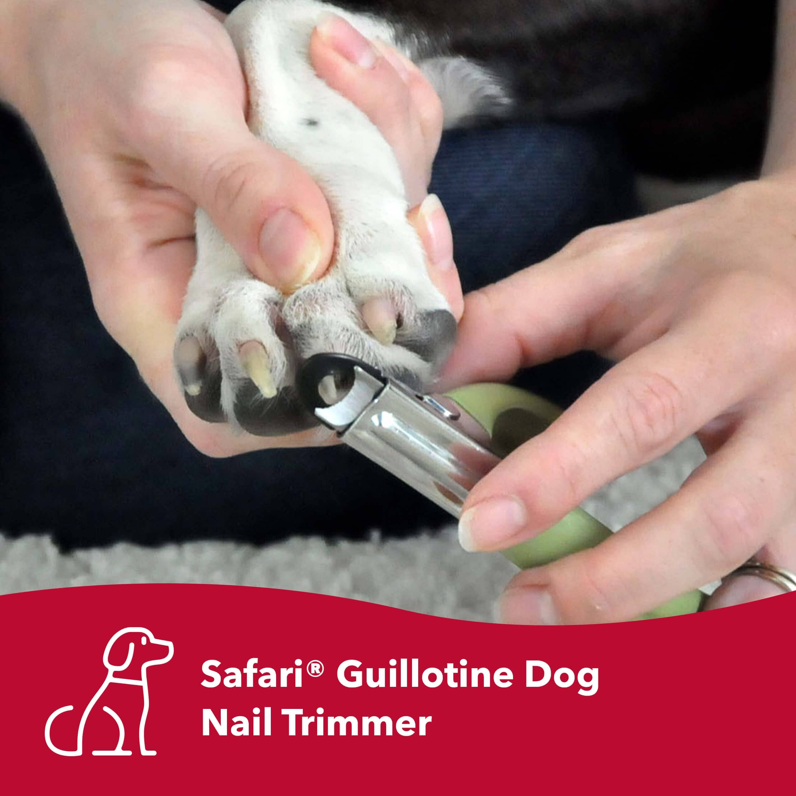 Coastal Safari Guillotine Dog Nail Trimmer - Small  