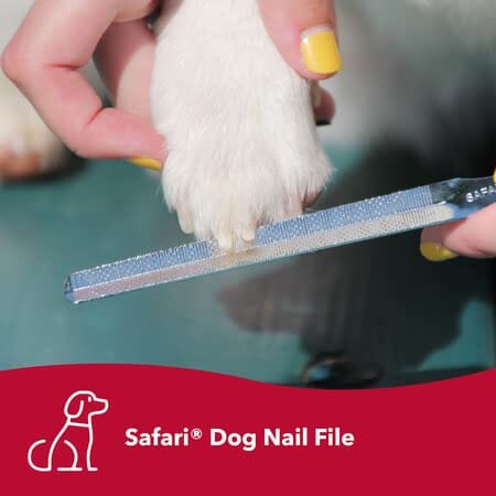 Coastal Safari Pet Dog Nail Filer  