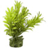 Colorburst Florals Laurel Leaf Plastic Aquarium Plant - Yellow - 1.25 X 1.25 X 3.25  