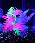 Colorburst Florals Philo Leaf Plastic Aquarium Plant - Glow - 1.25 X 1.25 X 3.25  