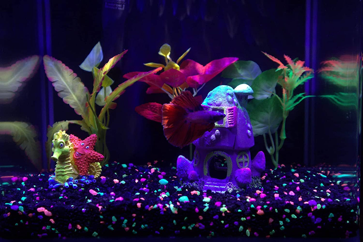Colorburst Florals Plant Variety Pack Plastic Aquarium Plant - Multi - Mini  – Pet Life