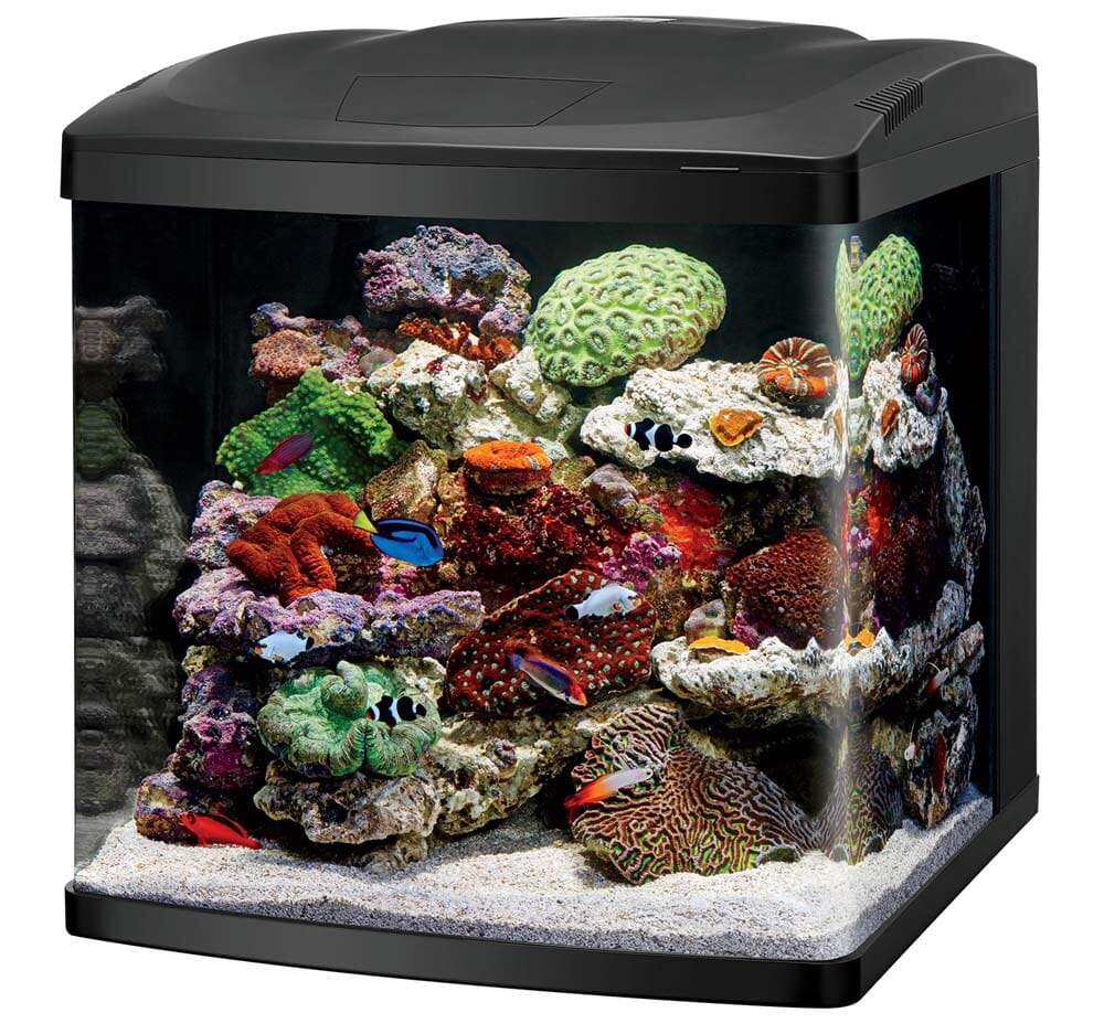 Coralife LED Biocube Marine or Freshwater Aquarium Kit - 32 gal  