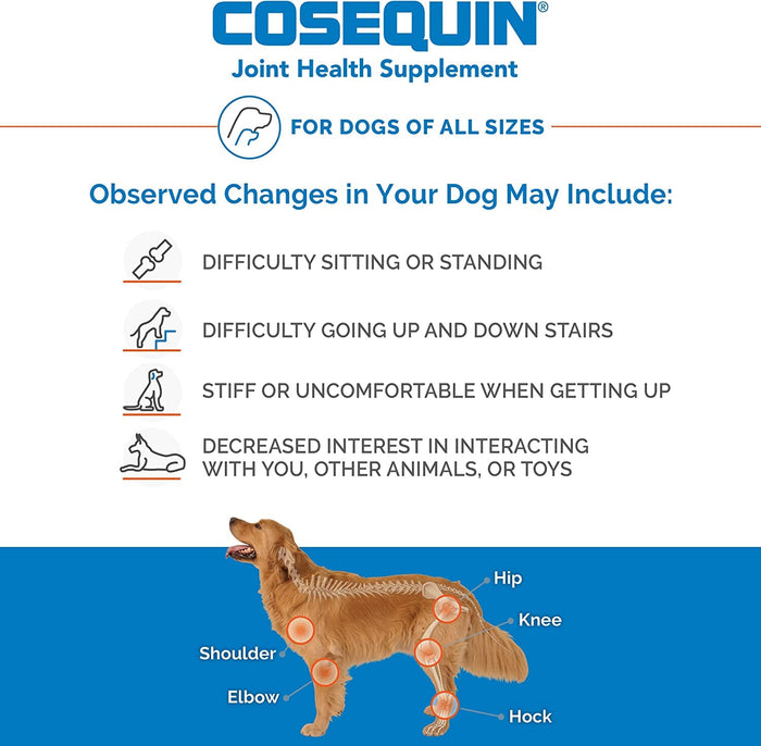 Cosequin Ds Max Strength + Msm Chews Dogs Mass Dog Joint Care - 60 Count