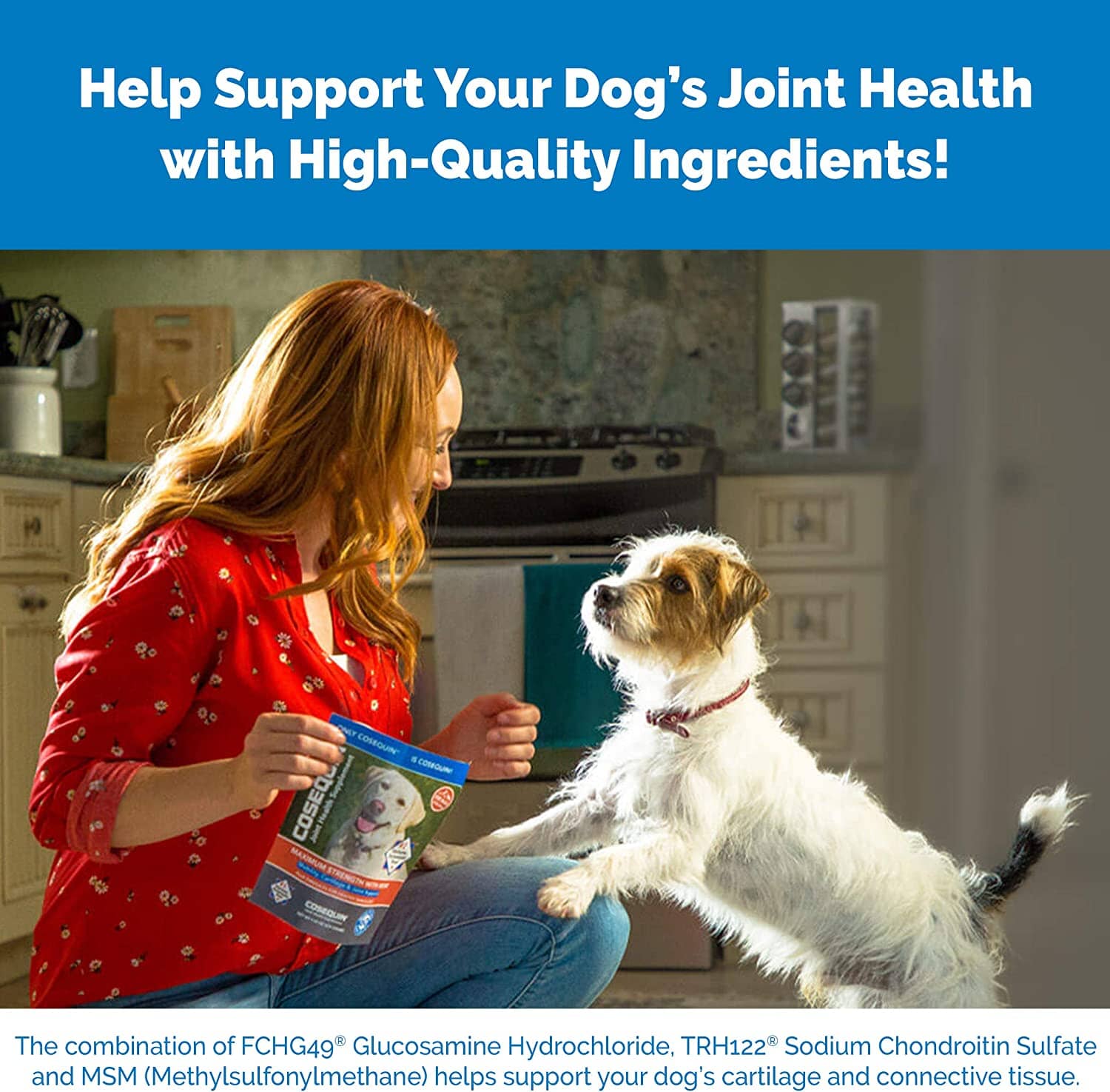 Cosequin Pro Ds Joint Supplement Chews for Dogs - 60 Count  