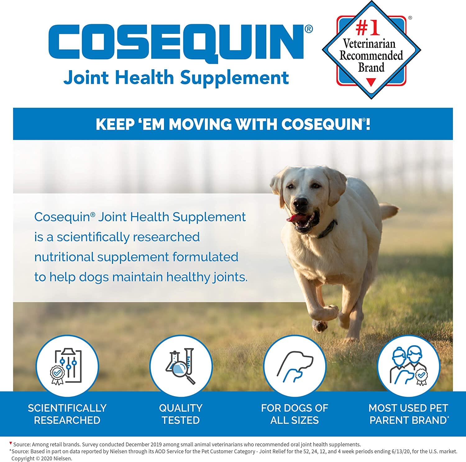 Cosequin Pro Ds Joint Supplement Chews for Dogs - 60 Count  