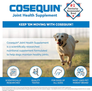 Cosequin Pro Ds Joint Supplement Chews for Dogs - 60 Count