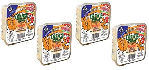 C&S Treat Suet Cakes Wild Bird Food - Orange - 11.75 Oz  