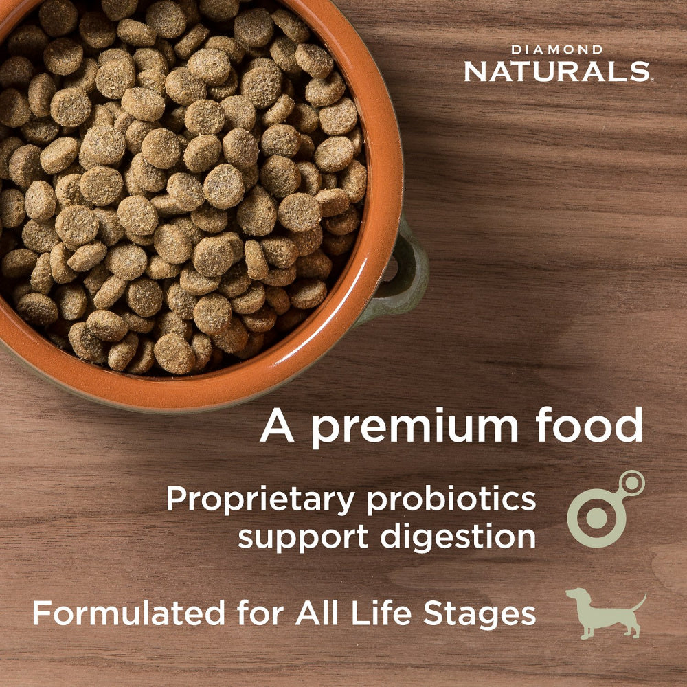 Diamond Naturals Skin & Coat Formula All Life Stages Dry Dog Food  