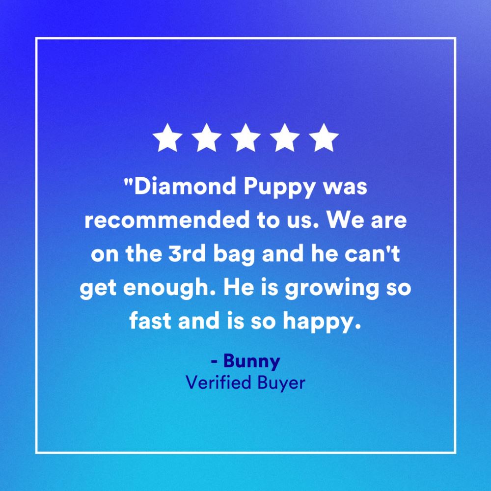 Diamond Puppy Dry Food  