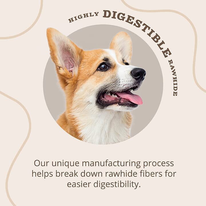 Dingo Better Belly Porkhide Roll Natural Dog Chews - Large - 3 Pack  