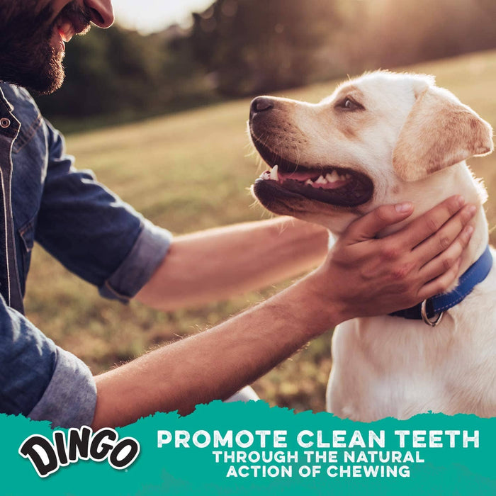 Dingo Dental Sticks for Tarter Control Natural Dog Chews - Chicken - 10 Pack