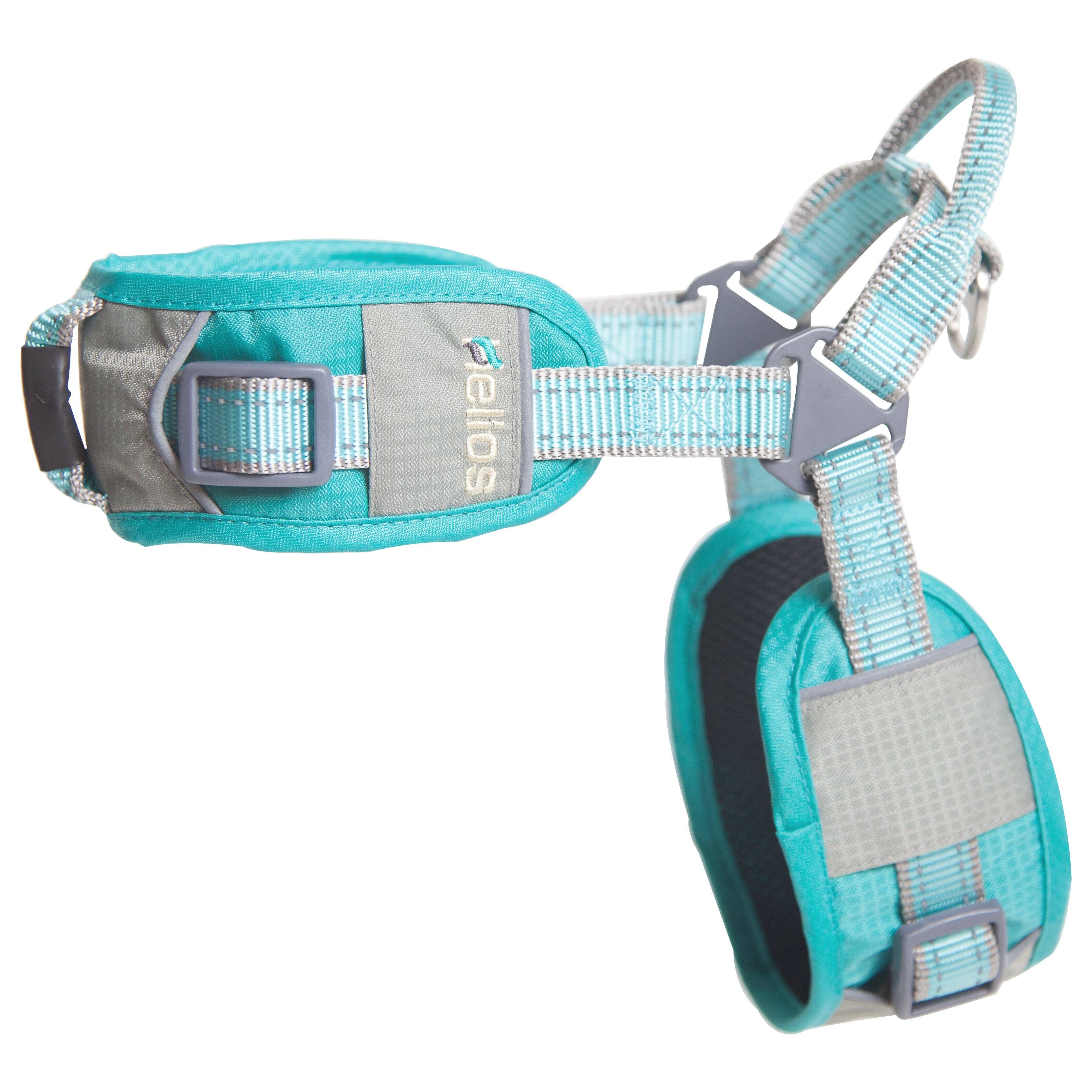 Dog Helios 'Geo-turf' Performance Adjustible and Reflective Dog Harness and Leash Small Aqua