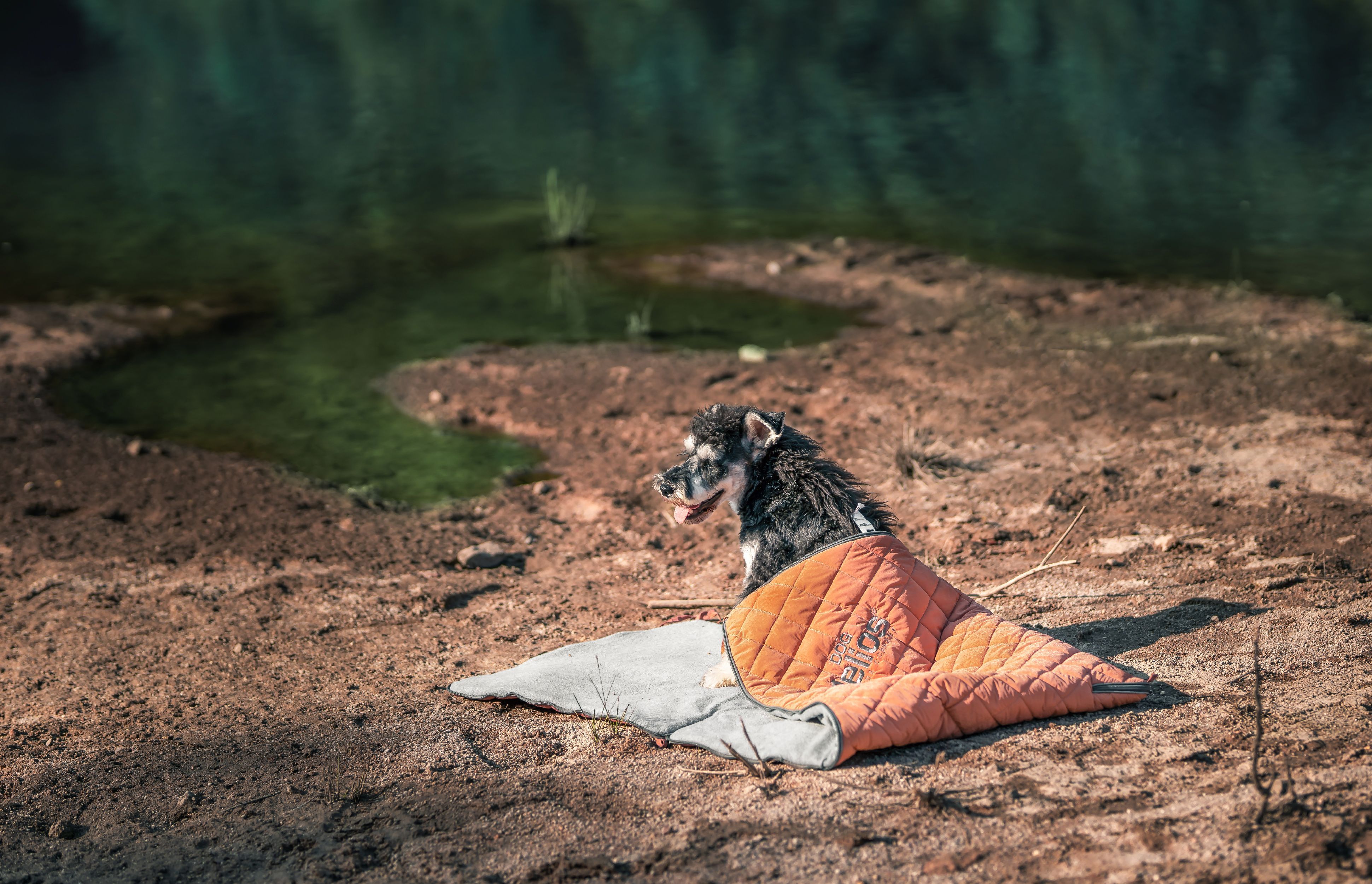Dog Helios ® 'Boulder-Trek' 3-in-1 Expandable Surface Outdoor Travel Camping Dog Mat  