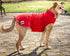 Dog Helios ® Lotus-Rusher 2-in-1 Dual-Removable Layered Performance Dog Jacket  