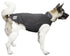 Dog Helios ® Lotus-Rusher 2-in-1 Dual-Removable Layered Performance Dog Jacket  