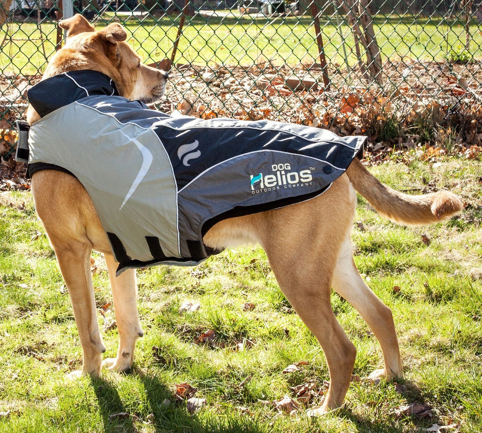 Dog Helios ® Lotus-Rusher 2-in-1 Dual-Removable Layered Performance Dog Jacket  