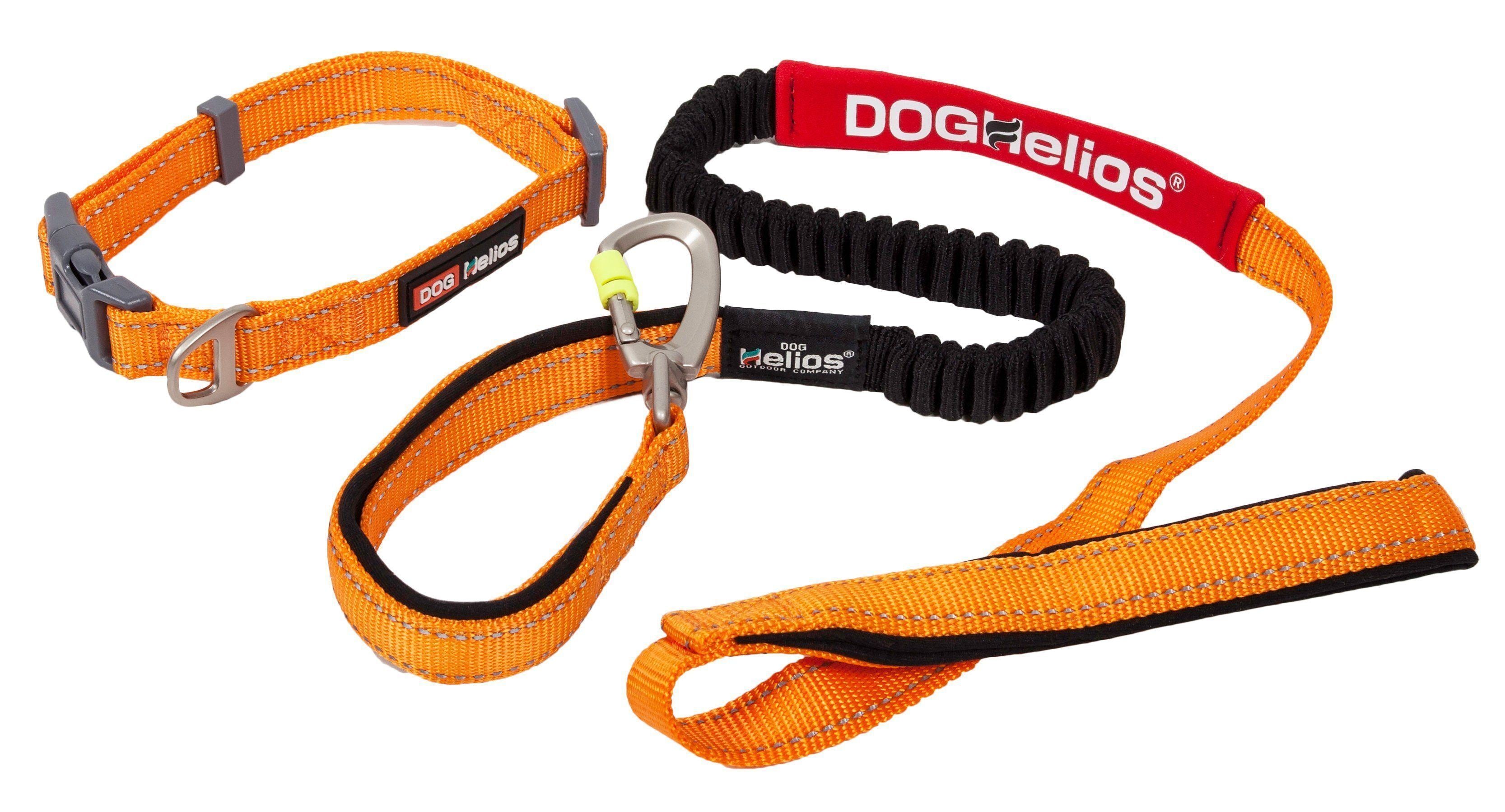 Dog Helios ® 'Neo-Indestructible' 2-in-1 Accordion Dog Collar and Leash Small Orange