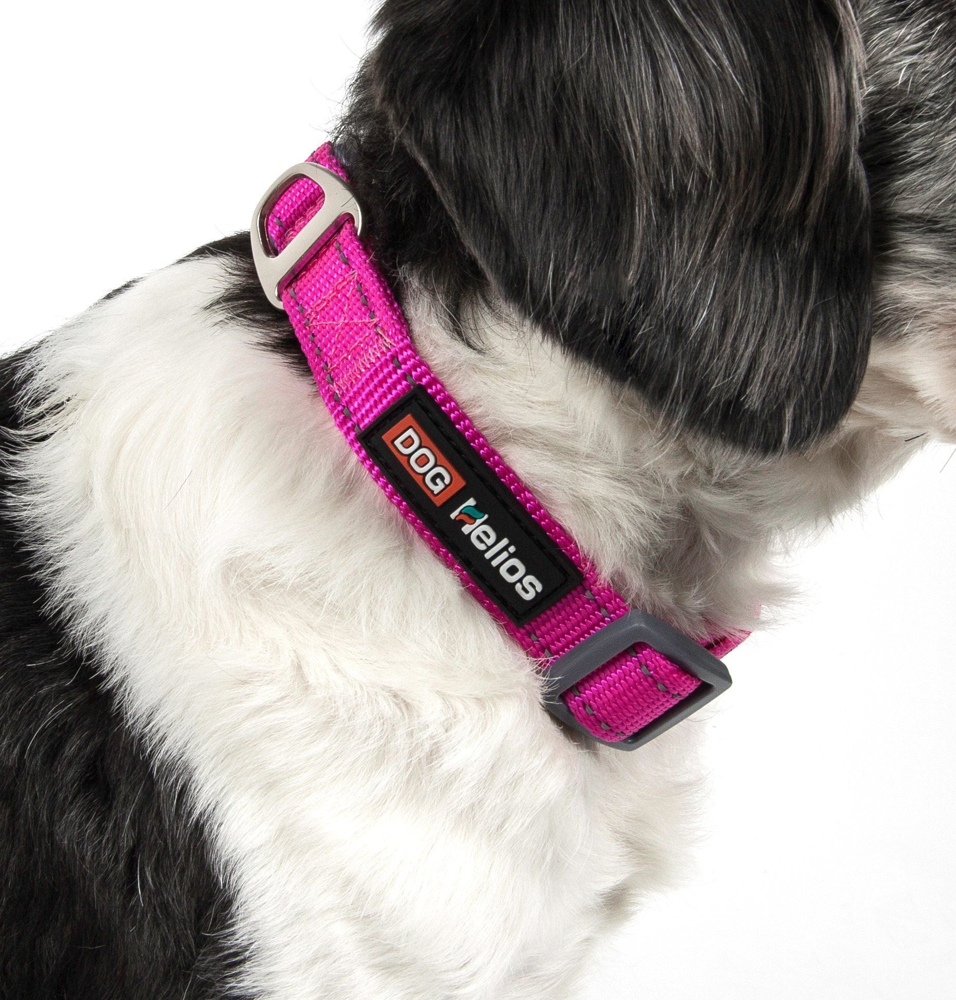 Dog Helios ® 'Neo-Indestructible' 2-in-1 Accordion Dog Collar and Leash  