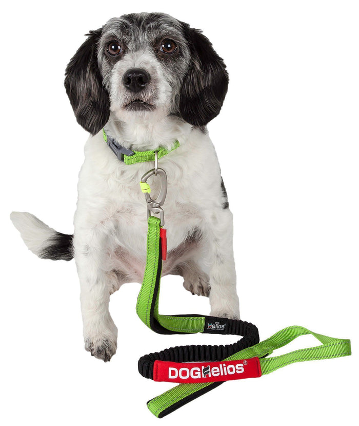 Dog Helios ® 'Neo-Indestructible' 2-in-1 Accordion Dog Collar and Leash