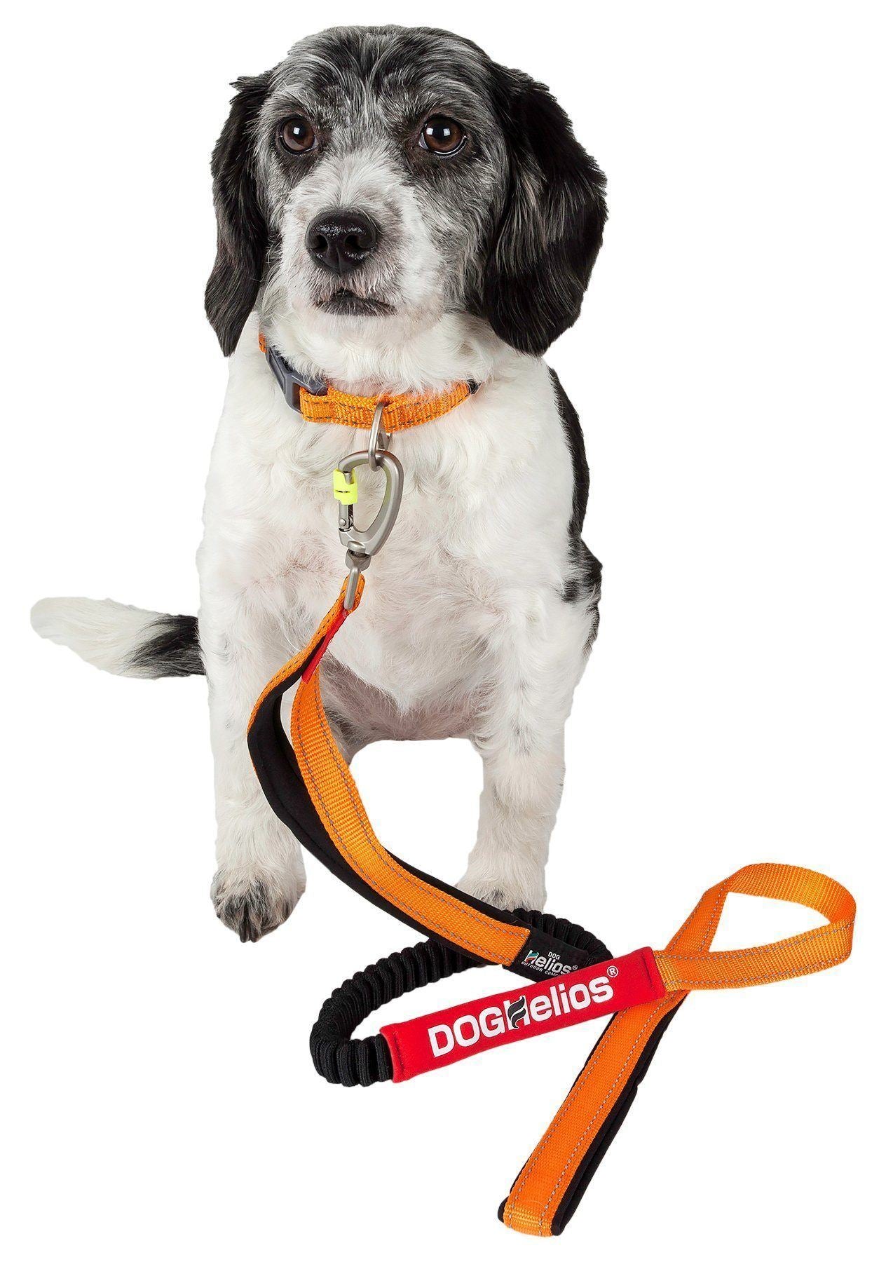 Dog Helios ® 'Neo-Indestructible' 2-in-1 Accordion Dog Collar and Leash  