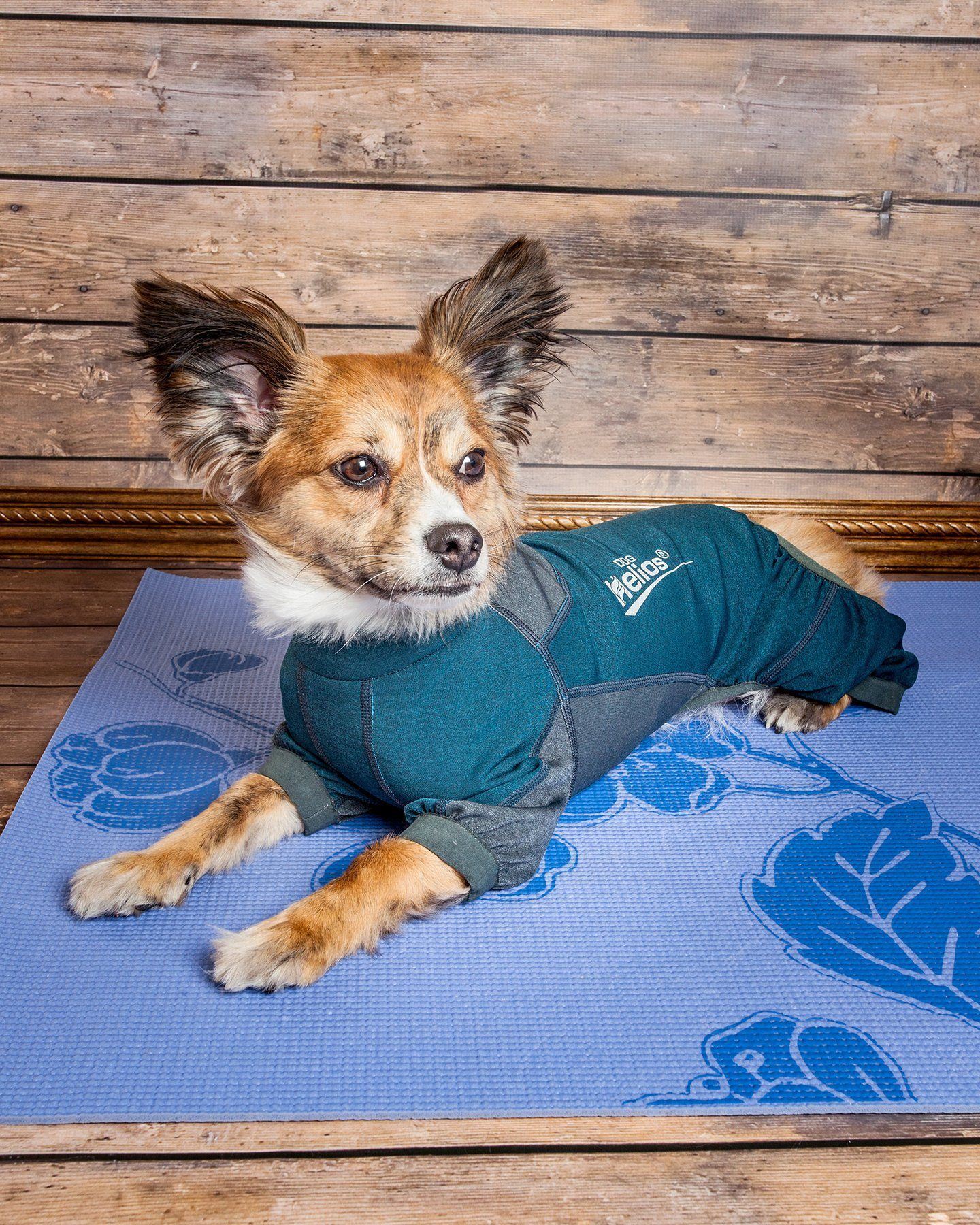 Dog Helios ® 'Rufflex' Mediumweight 4-Way-Stretch Fitness Yoga Dog Tracksuit Jacket  
