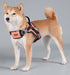Dog Helios ® 'Scorpion' Sporty High-Performance Free-Range Dog Harness  