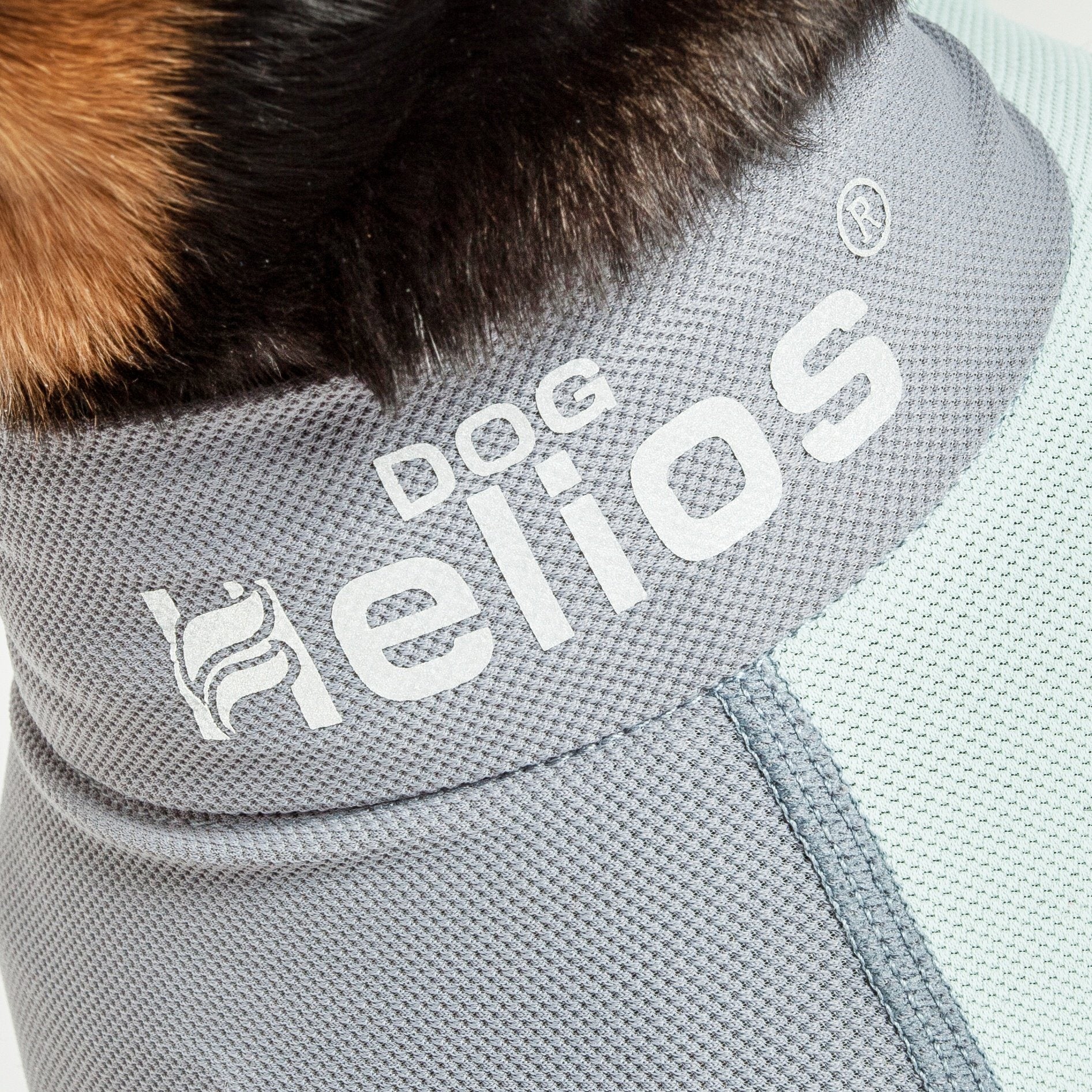 Dog Helios ® 'Tail Runner' Lightweight 4-Way-Stretch Breathable Yoga Dog Tracksuit  