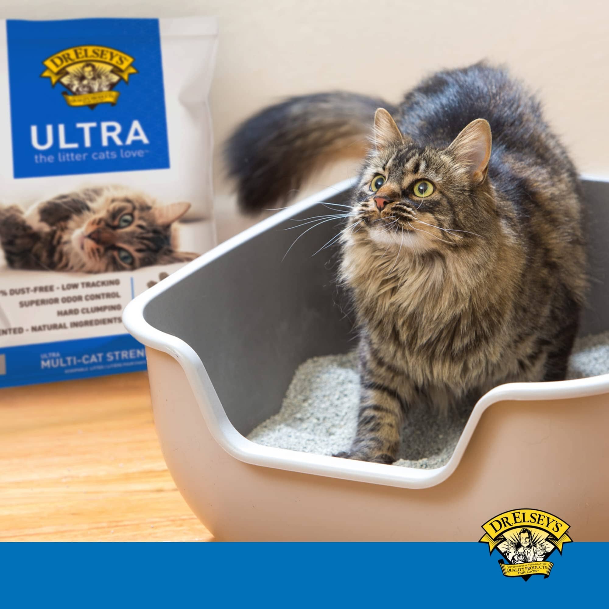 Dr. Elsey’s® Ultra Precious Scoopable Cat Litter - 18 Lbs  